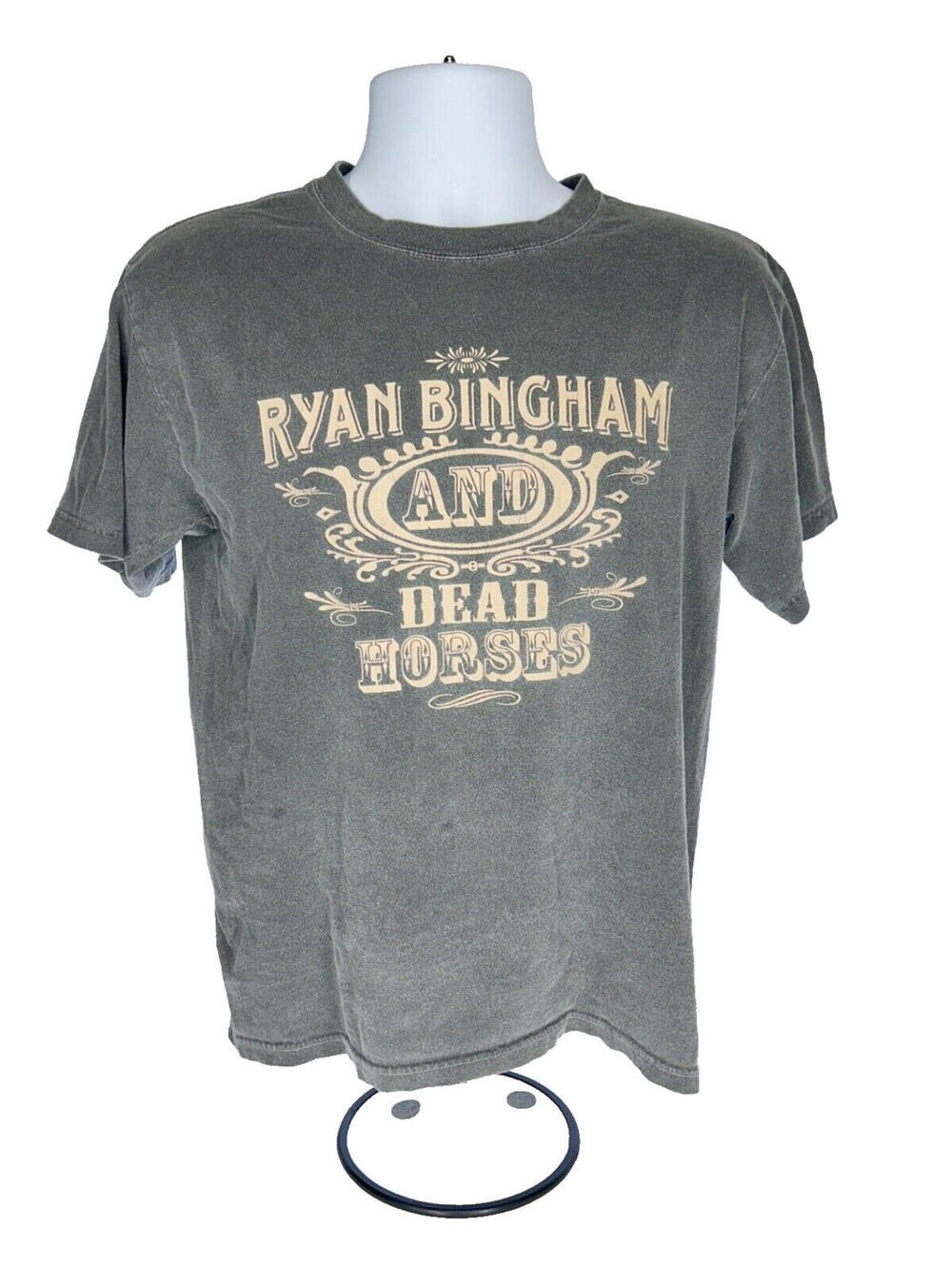 Vintage Authentic Pigment Gray T-Shirt Ryan Bingham & The Dead Horses S